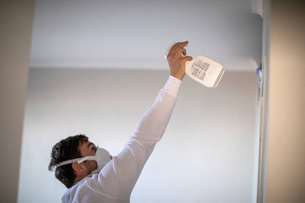 Mold Removal and Inspection in French Lick, IN